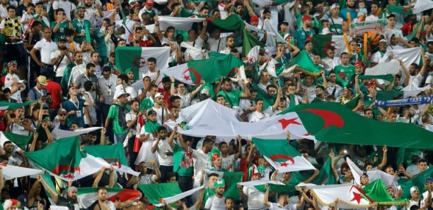 CAN 2019: 28 avions pour transporter les fans algériens en Égypte