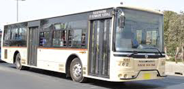 Accueil des Lions : 50 bus à la disposition des supporters