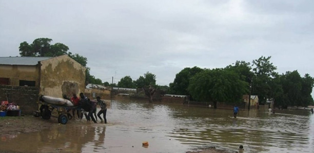 Kaffrine : les corps sans vie de deux talibés retrouvés dans les eaux