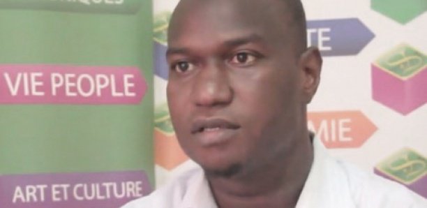 Fer de Falémé : Les membres du ministère des Mines ont déguisé la vérité (Par M. Dia)