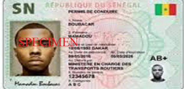 Remplacement des permis de conduire : La Direction des transports terrestres fixe les délais