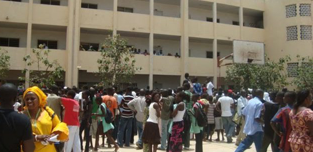 Série STEG : Les nouveaux bacheliers retrouvent le sourire