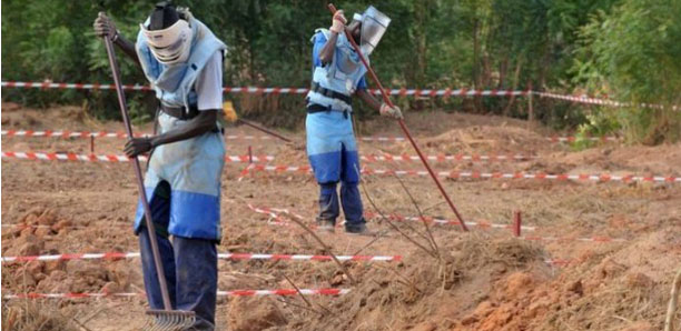 Casamance : six nouveaux démineurs à la disposition des autorités