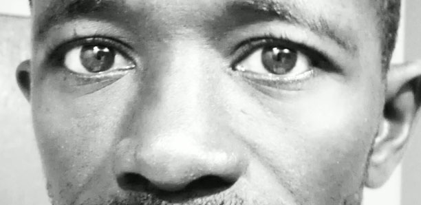 À Diomaye de Pastef : Laissons les Étalons et Revenons à nos moutons! (Par Cheikh O. Dieng)