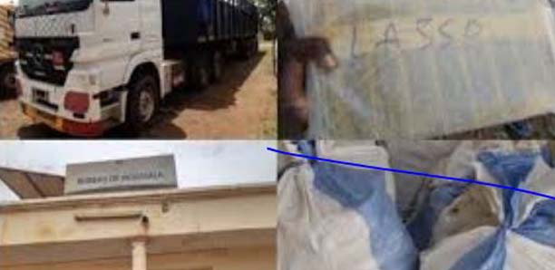 Nioro : 300 kg de chanvre-indien d’une valeur de 24 millions Fcfa