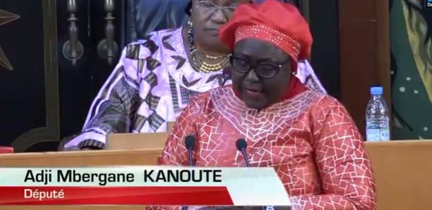 Assemblée nationale : Adji Mergane liste les maux des éleveurs (vidéo)