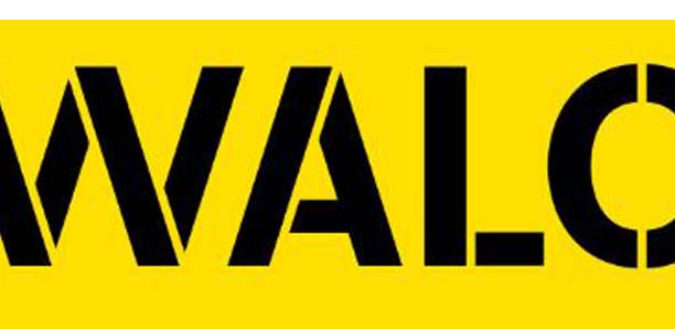 Mouvement Citoyen contre l’Accaparement et l’Aliénation des Terres du WALO  (M.A.A.T-WALO)