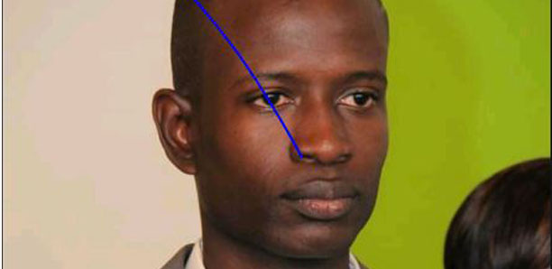 Dialogue politique : Le PED indique la voie pour un Sénégal apaisé