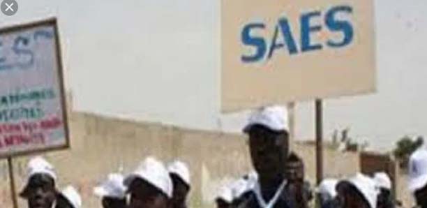 Université de Bambey: le Saes décrète une grève illimitée