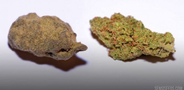 Trafic de drogue : 2 étudiants marocains et un commerçant sénégalais arrêtés à Dakar