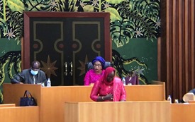 Vote du budget du ministère de l’Education nationale : L’intervention de la parlementaire Adji Mergane Kanouté