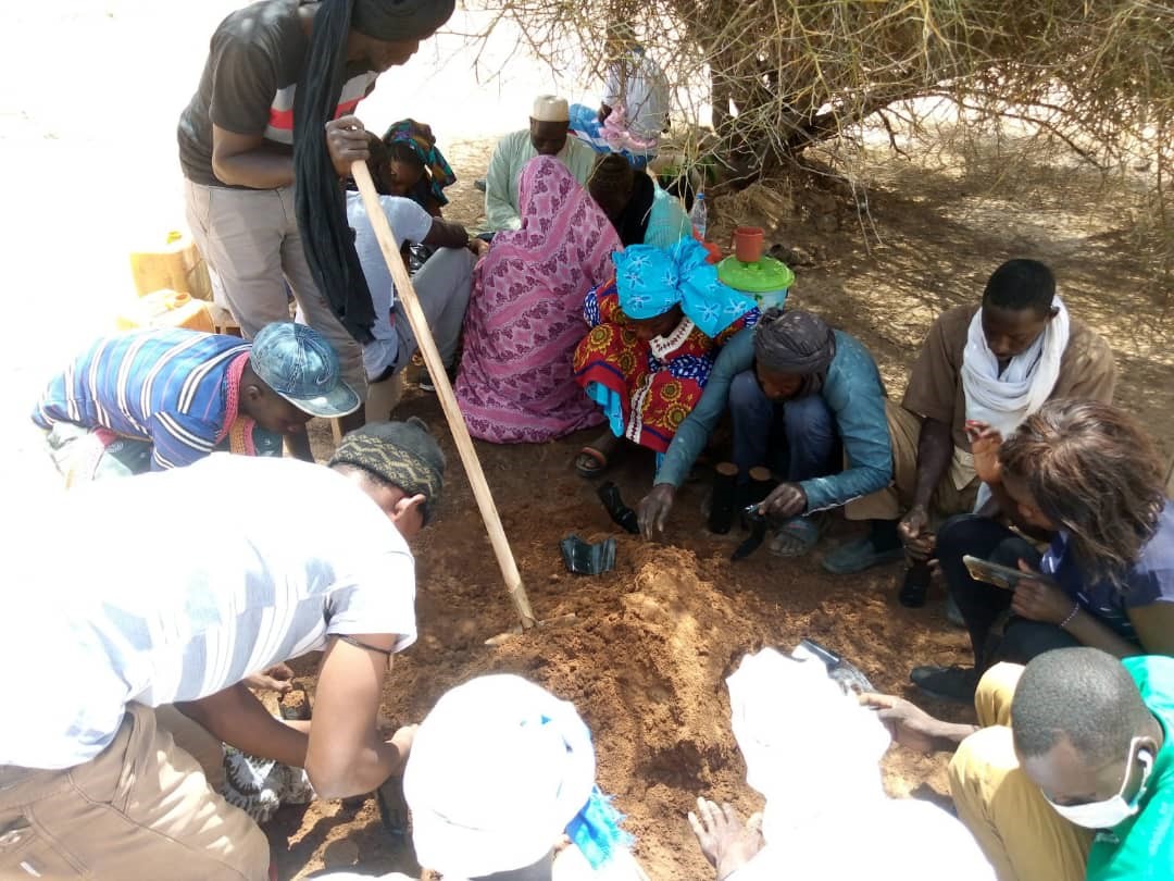 Régénération des écosystèmes du Sahel : le REDES amplifie son action sur le terrain (Par Dr Ousmane Aly Pame)