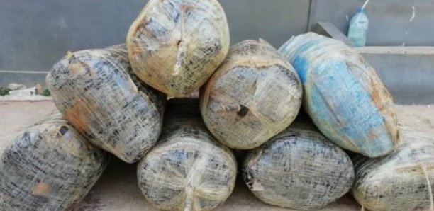 Développements sur la saisie à Koumpentoum : La Douane découvre 264 kilogrammes de cocaïne
