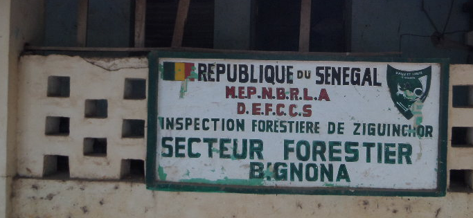 Bignona : Un indicateur des Eaux et Forêts tué, deux arrestations