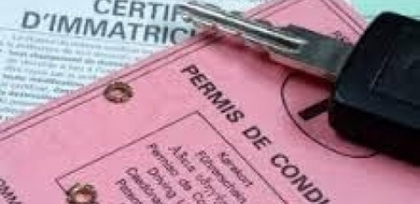 Trafic de permis de conduire et de cartes grises : Un réseau démantelé