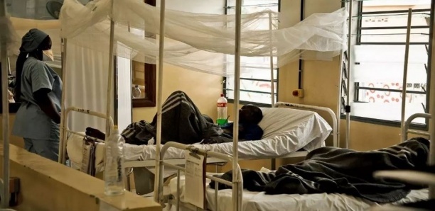 Tuberculose : les jeunes plus touchée par la maladie