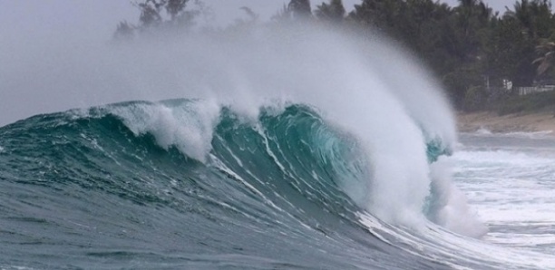 Alerte : Une houle dangereuse annoncée pour ce week-end