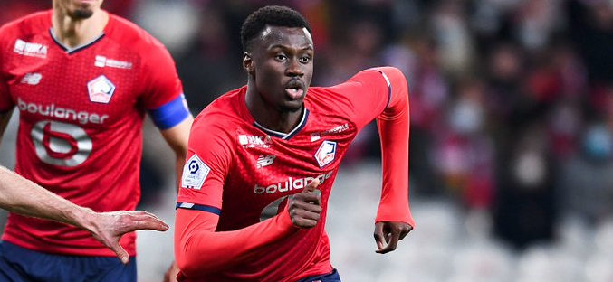 Lille : Cheikh Niasse vendu aux Young Boys (off.)
