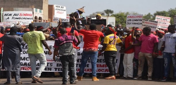 Kédougou : Une marche de protestation pour réclamer de l’électricité à Mako