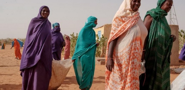 Les formations ethniques et sociales en Mauritanie : de la domination des négro-négro- africains à la suprématie des maures