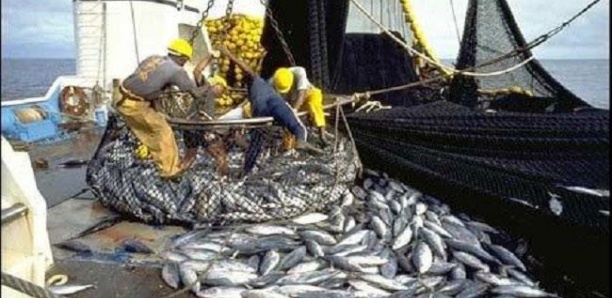 Le régime de Macky Sall est entrain de liquider la pêche artisanale (Par MLD)
