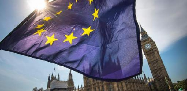 L’UE interdit l’importation de produits issus de la déforestation