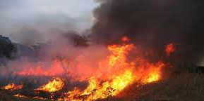 Ranch de Doly : 1900 ha emportés par les flammes, l’auteure de l’incendie arrêtée