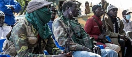 Processus de paix en Casamance : Le MALAO chargé de la “collecte et de la destruction” des armes des combattants de Diakay