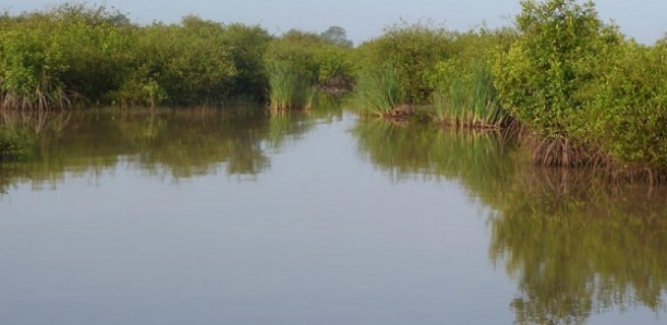 La superficie des aires marines protégées passée de 114 000 à 682 435 ha en 11 ans (directeur)