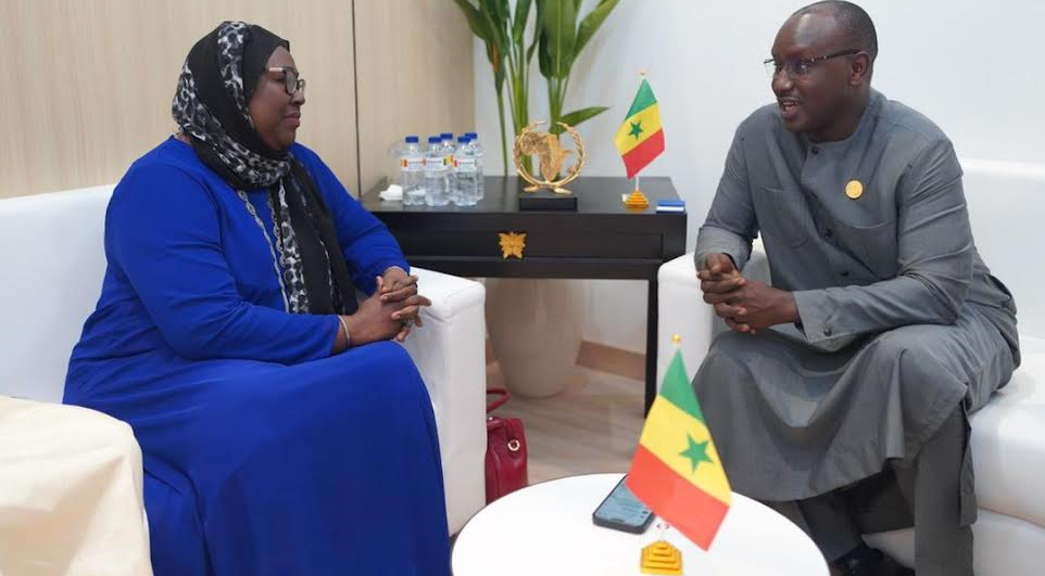 Alliance internationale pour la Sécurité de l’Eau … : Adji Mergane Kanouté désignée coordinatrice