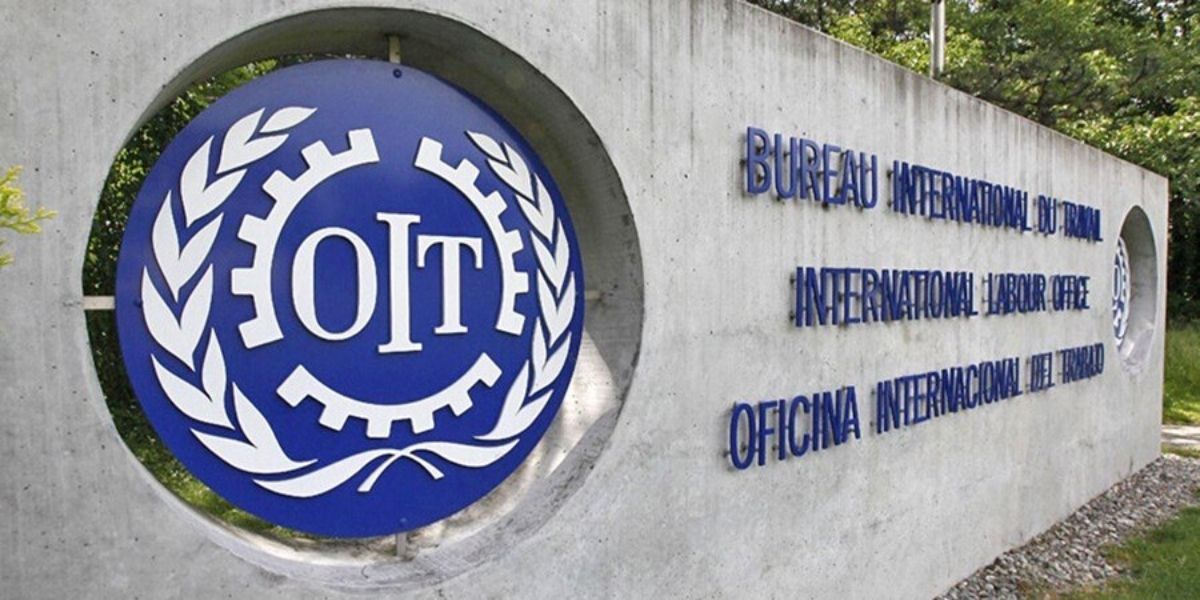 Les migrants internationaux continuent de jouer un rôle essentiel sur le marché du travail mondial (OIT)