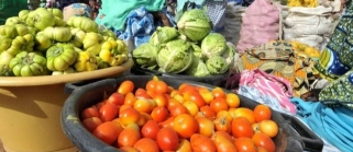 Insécurité alimentaire : Un plan d’urgence pour 10 000 ménages lancé par l’État