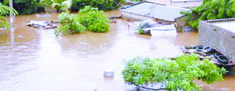 Fleuves Sénégal & Gambie : Gros risques de débordement