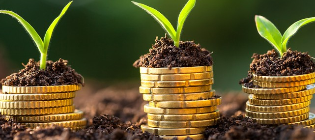 Financement climatique : Les banques multilatérales de développement ont octroyé 137 milliards de dollars en 2024