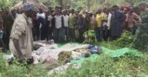 Massacre de Boffa Bayott : Le verdict très  attendu ce lundi
