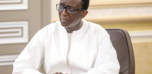 Assemblée nationale: La posture d’Amadou Bâ interpelle